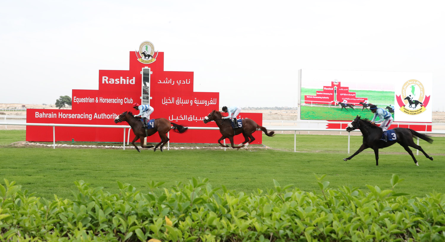 The Rashid Equestrian and Horse Racing Club organises third race in the